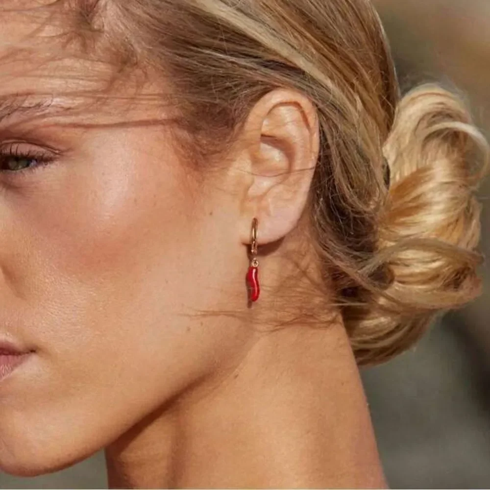 Pepper hoop Earrings N1715